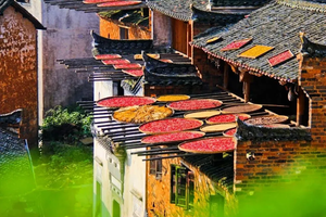 【秋韵徽州4天】“秋假”来袭，篁岭晒秋+石城秋色+水墨宏村+塔川秋色+奇墅湖+碧山书局~