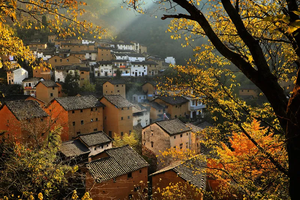 【徽州古韵5天】皖南秋色，木梨+水墨宏村+新安江山水画廊+塔川秋色+阳产土楼+婺源篁岭石城