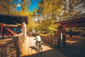 【梦幻边城7天】私藏古村，腾冲+银杏村+北海湿地+和顺古镇+莫里瀑布+一寨两国+瑞丽+芒市大金塔