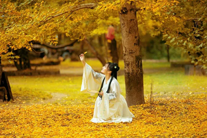 【轻奢·滇西秋色】腾冲银杏村-无量山冬樱花-瑞丽-芒市-潞江坝-诺邓古村-巍山古城7天深度游