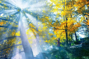 【秋色云贵】妥乐银杏村-昭通大山包-彝良小草坝-蜀南竹海-赤水大瀑布-丹霞佛光岩-雨碌大地缝-昭通古城7天游