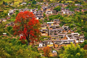 【天境云南  10日】腾冲银杏村-怒江大峡谷-无量山樱花谷-独龙江-丙中洛-滇藏界-和顺古镇-热海-诺邓-巍山-南涧土林