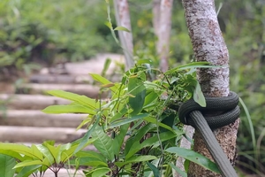 【新线上线】2025年10月18日，登山穿越 || 探秘马峦山，寻找你心中的诗和远方！