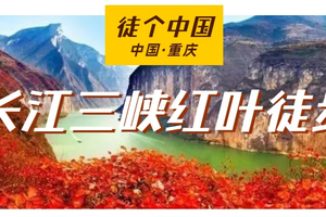 2025年12月01日-05日，徒步重庆｜长江三峡徒步，登三峡之巅，赏醉美三峡红叶