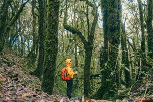 哀牢山秘境｜翁丁原始部落｜西盟龙摩爷｜音乐老达保｜景迈山古茶园｜翁基古寨｜糯干古寨