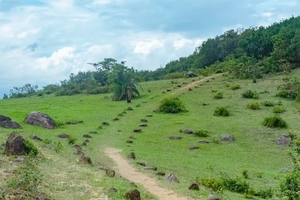 【走进香港】2025年11月15日，行山食烧鹅，元荃古道休闲徒步1日活动