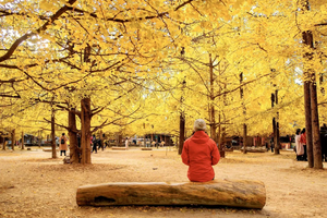 2025-2026 高黎贡山 腾冲 国殇墓园 和顺古镇 玉璧古道 5日行程