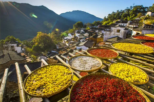 【篁岭晒秋，婺源瑶里3日】赏摄晒秋人家，石城醉美红叶，漫步瑶里古镇
