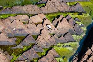 【走进香港】2025年11月15日，千里江山图，香港东平洲环岛徒步一日