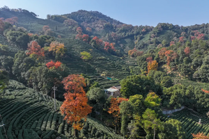 2025年11月30日-12月05日，徒步浙江｜浙江之秋6日徒步活动