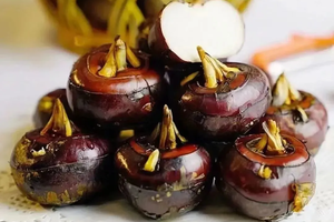 2025年11月29日，挖马蹄、做糖葫芦、坐小火车、高空溜索、打年糍、彩虹滑梯，体验乡野农耕的乐趣！