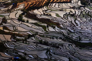 2026年01月17日-21日，徒步华夏丨秋冬特辑 · 云南哀牢山站，在云海之巅、森林深处，找回内心的秩序与平静