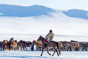 【冰雪记忆A线】雪国列车 漠河寻北 极致雪原 六日精品8人小团