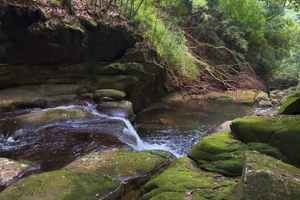 2025年12月14日，惠户十登 || 登罗浮山茶山观-飞云顶，赏“两山”环线美景