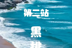 （增加一期）2025年12月14日【第二届惠州亲子百公里海岸线徒步】第二站：黑排角  