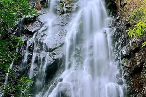 （增加一期）2025年12月28日【第一届大湾区惠州亲子百公里山野穿越】第五站：马峦山 增加一期 