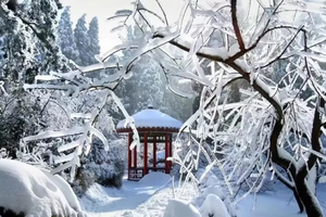 【元旦高铁游】2026年01月01日-03日，相约南昌 庐山观雪景 赏雾凇 打雪仗 迎新年