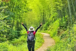 2026年01月31日，徒步穿越 || 从化星溪线徒步，穿越十里竹海，赏醉美李花，品尝原生态乡村美食