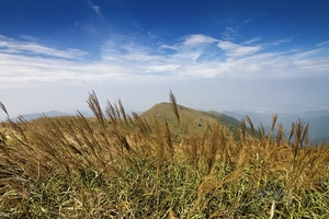 2026年01月10日，惠户十登 || 登千米高峰白云嶂、赏满山芦苇飘荡