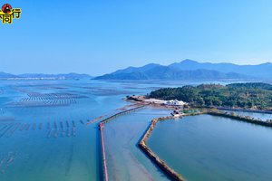 2026年01月25日，休闲美食 || 打卡红树林景观-好招楼湿地公园，品尝赤岸蠔门生蚝宴，逛双古村落一日游