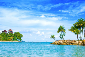 2026年02月15日-19日，大巴团—惠州出发，去海南三亚过年5日游