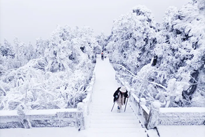 2026年寒假，【高铁2日游】南岳衡山独如飞，徒步朝圣天路，走进白色梦幻世界