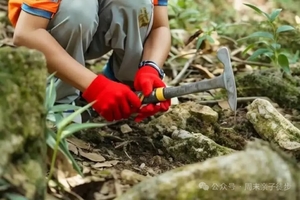 报名开启｜山野徒步1日营，探秘山野徒步寻宝，捡水晶石，趣味植物作画等你来体验！