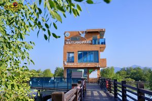 2026年02月01日，徒步美食 || 打卡惠州最大的红树林景观，品尝蠔门生蚝宴，黑排角彩石滩，观海上落日