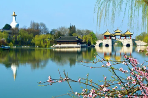 2026烟花三月下扬州｜江南春日赏花顶流之旅，扬州瘦西湖、兴化千岛垛田、无锡鼋头渚、李中水上森林5日游