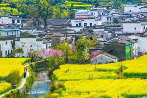 2026年03月22日-27日，江西徒步｜婺源油菜花古道徒步