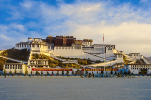 2026年04月08日-15日，徒步西藏｜雪域桃花徒步节（林芝集合）