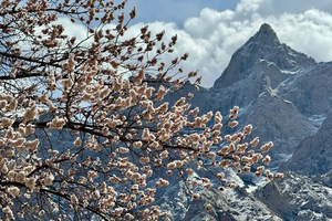 【新疆8日·南疆春韵】2-6人团 温宿大峡谷 博斯腾湖环湖公路 沙漠公路 木吉火山口 莎车古城 班迪尔湖 盘龙古道 喀什