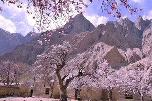 【新疆7日·南疆塔莎杏花】木吉火山口 塔莎古道 莎车古城 班迪尔湖 盘龙古道 喀什 大同乡 塔尔乡杏花游