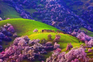 【新疆9日·越野寻花】2-4人团 穿越大海道 入住火星基地 新疆吐尔根 库尔勒梨花  大西沟杏花  赛里木湖