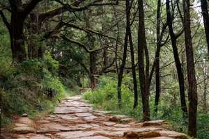 2026年04月19日-24日，【走进秦蜀古道】金牛古道-米仓古道-拦马墙-普安镇-翠云廊-汉阳古蜀道-抄手铺-云雾山6