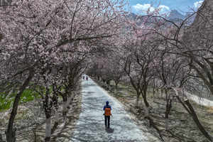 2026年03月25日-04月04日，新疆徒步｜寻宝南疆，帕米尔高原踏雪寻花