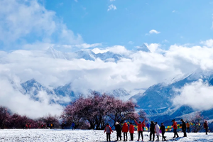 【大美墨脱】墨脱+林芝桃花+波密桃花+索松村+然乌湖+来古冰川+帕邦喀+雅鲁藏布江大峡谷9日游