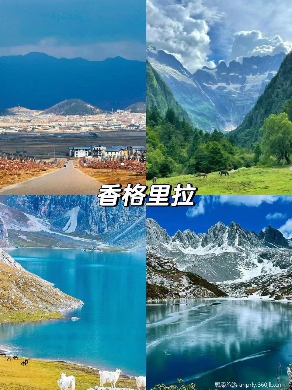 e7ae66f2dc40f27d9fdd08895d86b02