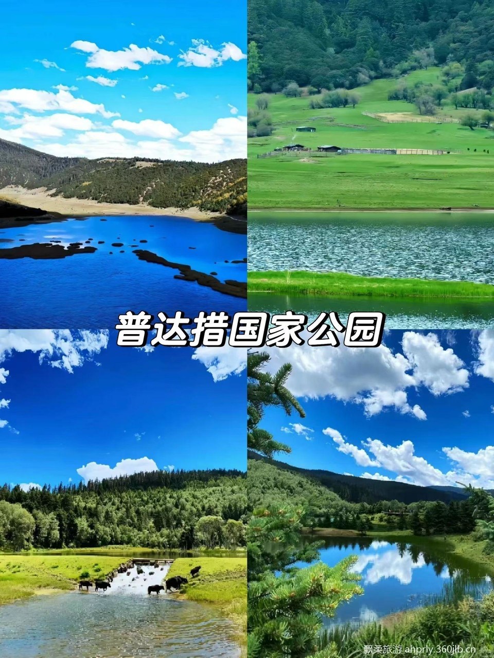 08877cfe900db9e374e7308ff508c30