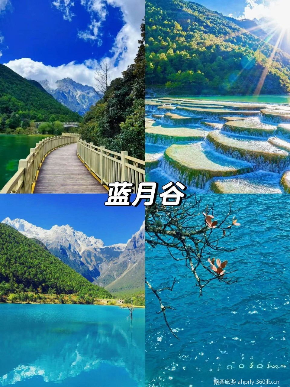 cf8dbaaae3fb623c41d38e991acf9e4