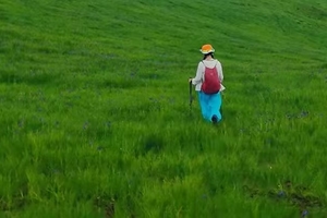 虎跳峡高路+老药山徒步 2日