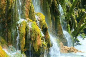 徒步尼汝七彩瀑布（一天行程）