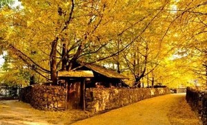 保山+腾冲4天3晚