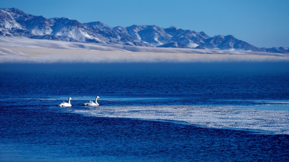 冬季的赛里木湖13