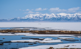 冬季-赛里木湖 (5)