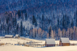 冬季恋歌-喀纳斯