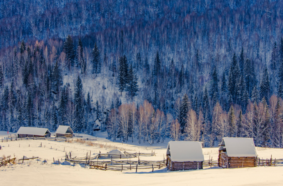 冬季恋歌-喀纳斯