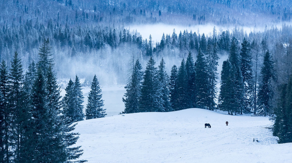 冬季恋歌-喀纳斯5