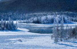 冬季恋歌-喀纳斯7