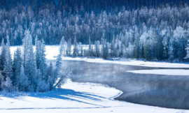 冬季恋歌-喀纳斯8